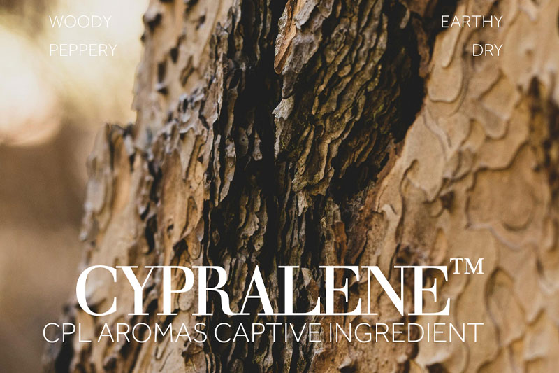 CPL Aromas introduces two new captive ingredients: Cypralene and Vetiwood