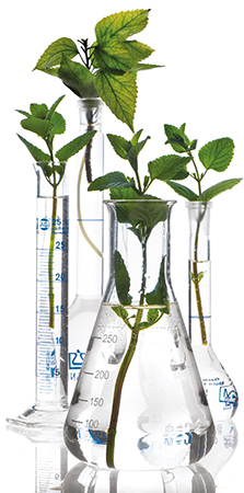 Sharon Laboratories introduces new preservative line 